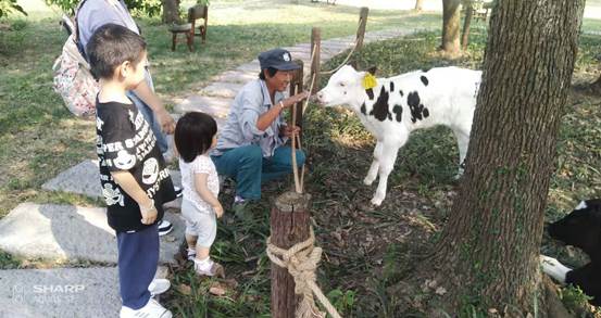 ΢��ͼƬ_20210428132907