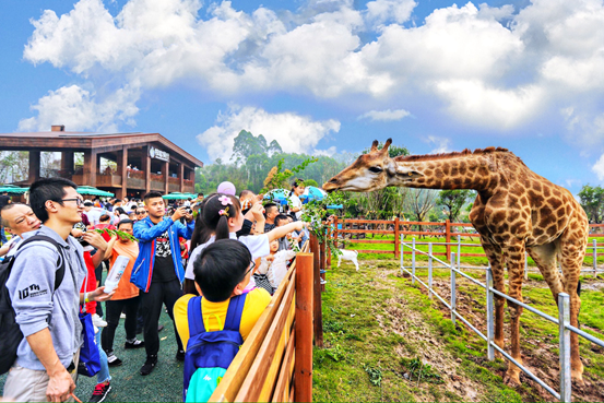 �ɶ�����Ϫ������԰